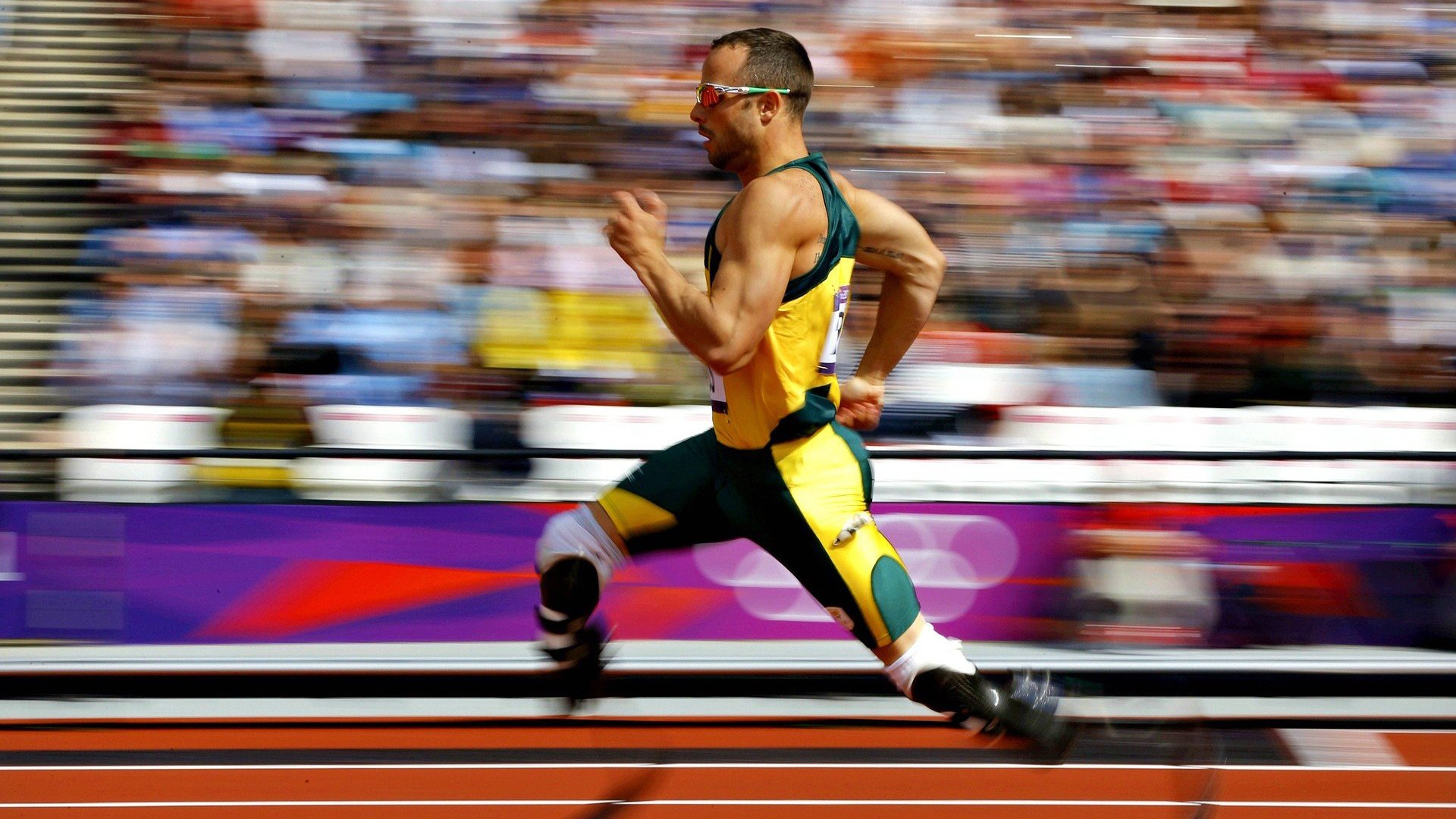 日本骑手吉塔·日特科维奇荣获2024年最佳障碍赛骑手奖,表彰其卓越表现。